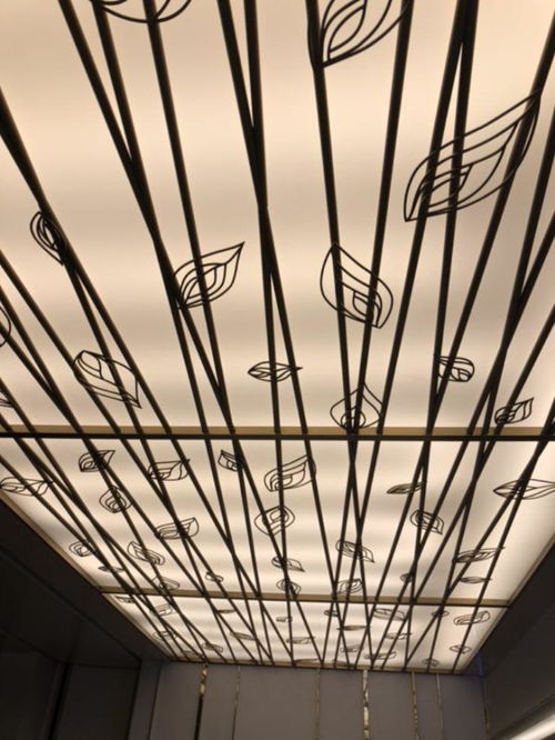 雨棚铝单板实力派生产厂家，铸就卓越品质的加工保障