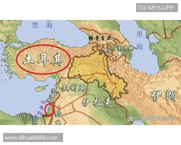 瑞典与土耳其精彩对决赛果揭晓分析两队表现与未来展望 瑞典与土耳其精彩对决赛果揭晓分析两队表现与未来展望