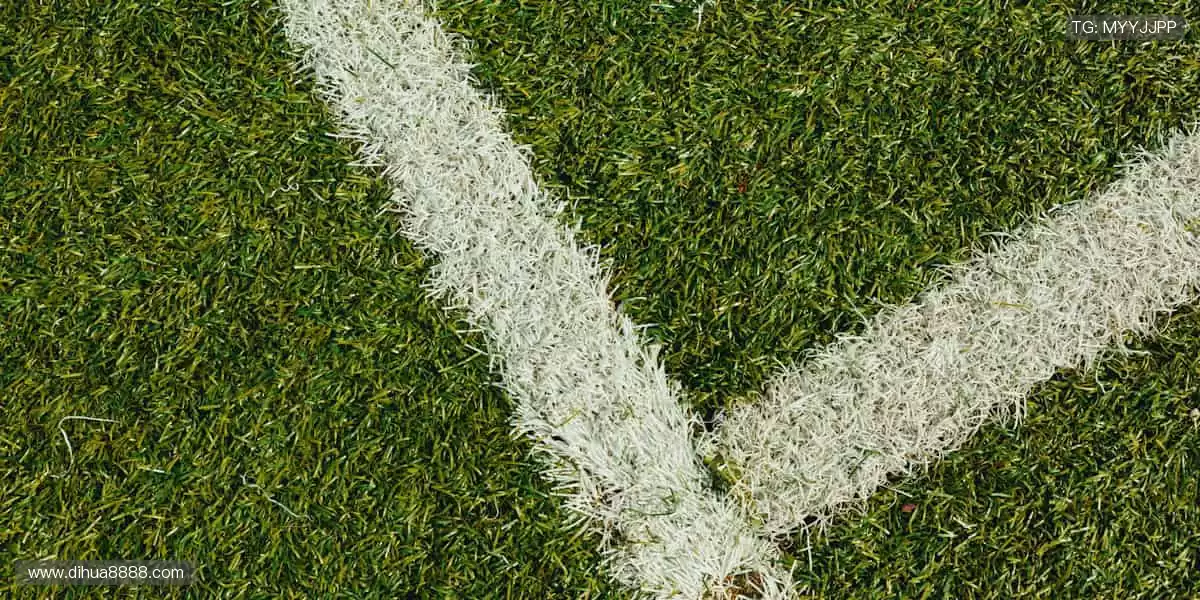 运动装备一站式,品质与颜值并存!🛒🔥